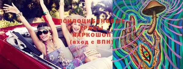 крисы Бикин