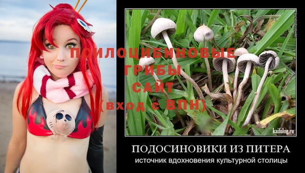 2c-b Новодвинск