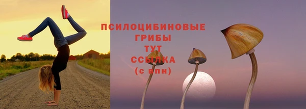2c-b Новодвинск