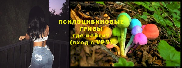 2c-b Новодвинск