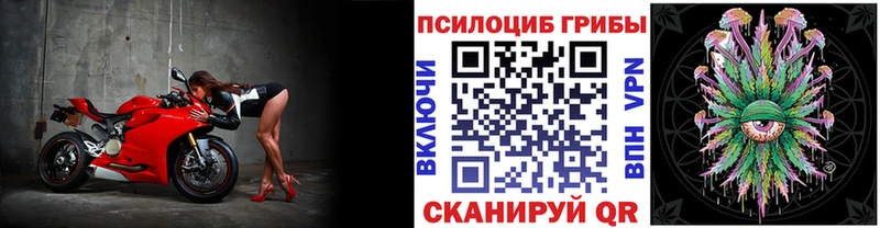 Псилоцибиновые грибы мицелий  где купить наркоту  mega   Ангарск 