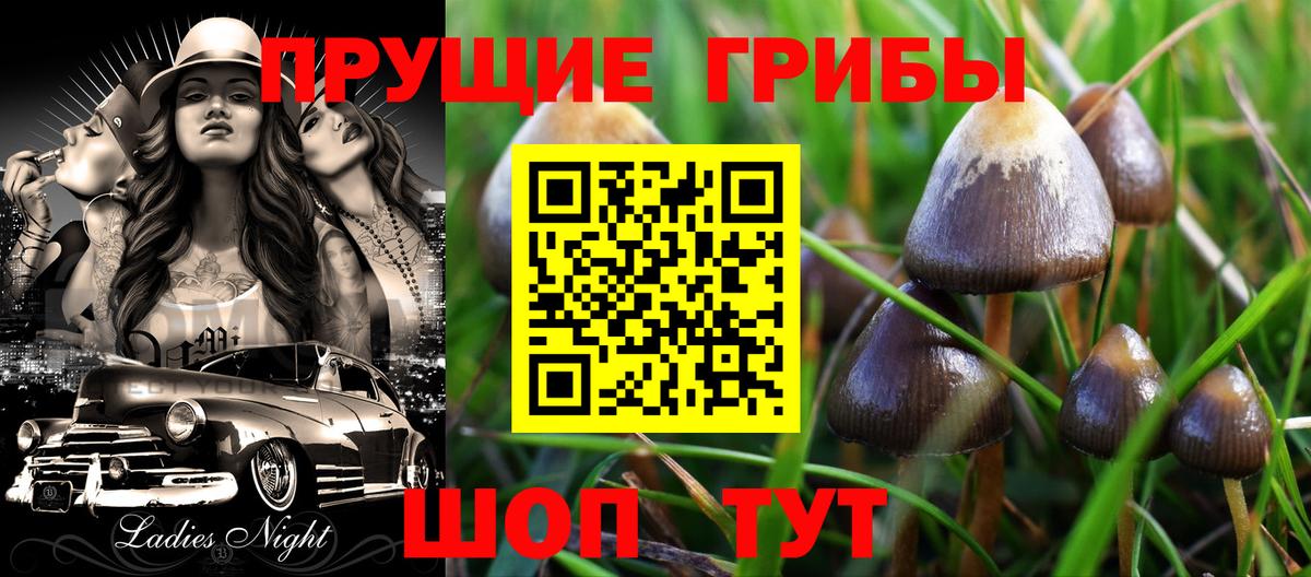 Галлюциногенные грибы Psilocybe Ангарск
