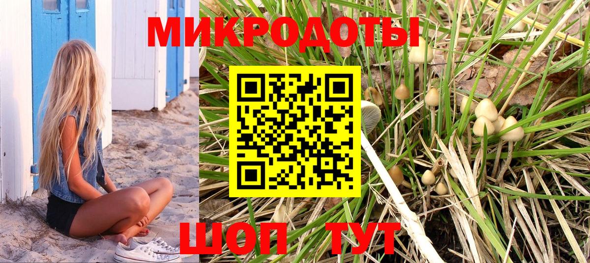 Псилоцибиновые грибы Psilocybine cubensis  Ангарск  Псилоцибиновые грибы Psilocybe 