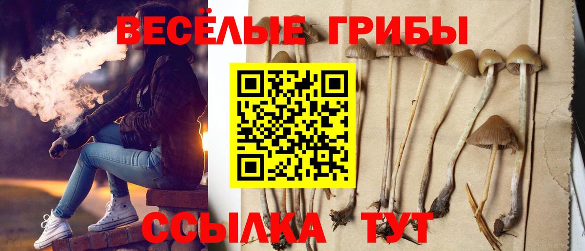 Псилоцибиновые грибы GOLDEN TEACHER  Вход с VPN  Ангарск 